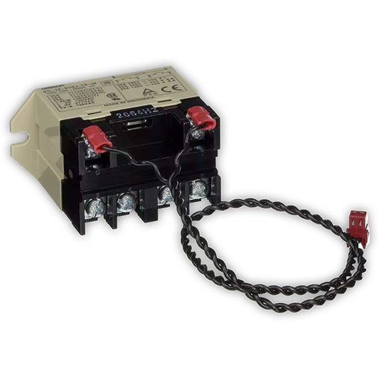 Pentair 520106 Relay, 24V DC, 3HP